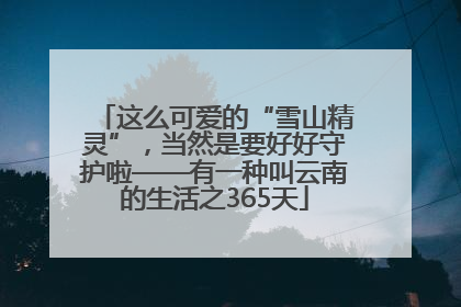 这么可爱的“雪山精灵”，当然是要好好守护啦——有一种叫云南的生活之365天